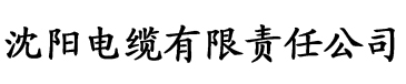 理论片在线观看中文字幕电缆厂logo